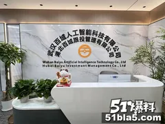 百域量化AI炒股资金盘诈骗案 养老金160万瞬间归零 武汉某炒股骗局曝光 主犯还在外面逍遥